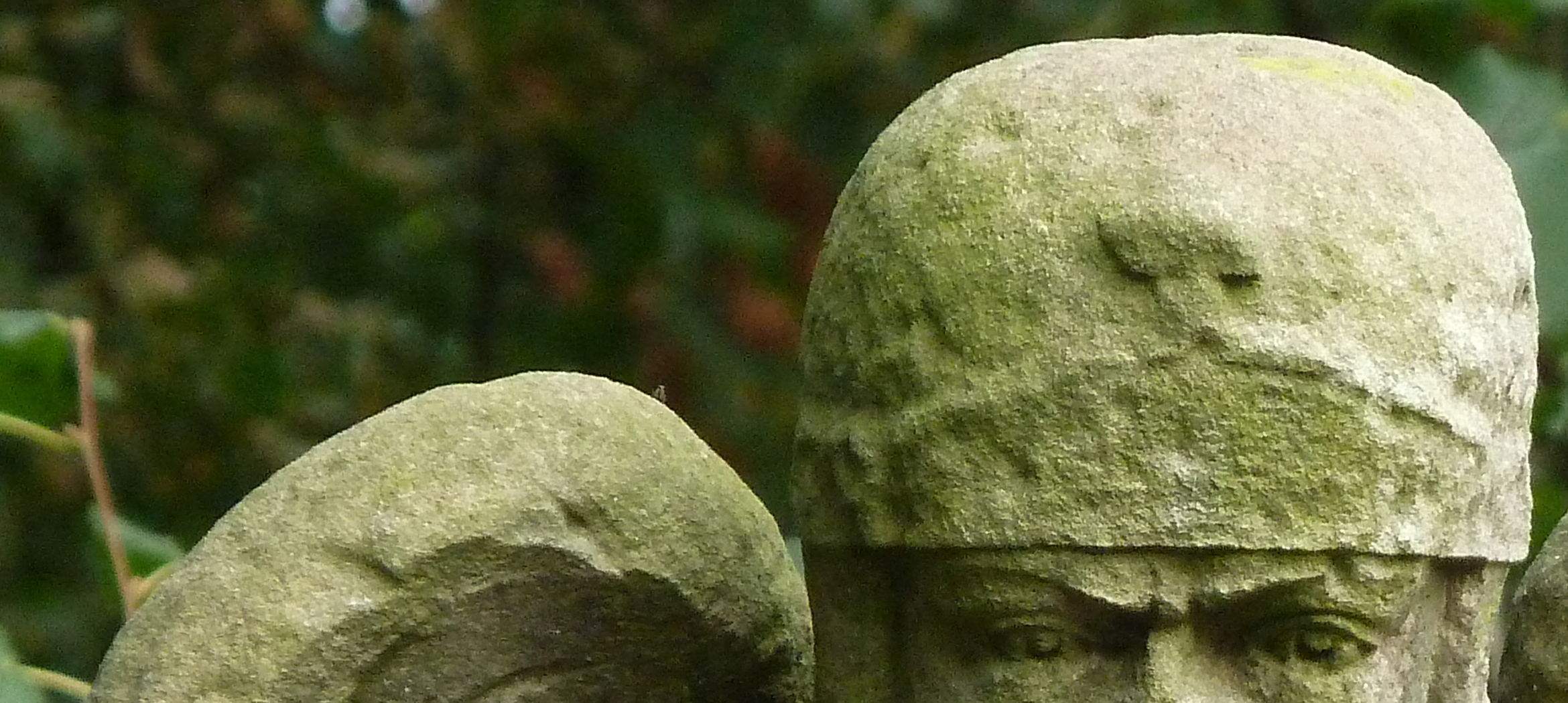 SB5 Detail
